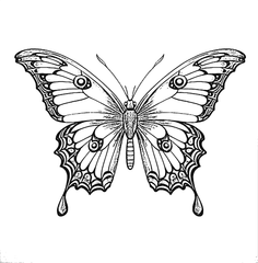Butterfly LIMTED-EDITION Custom Flash Tattoo